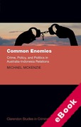 Cover of Common Enemies: Crime, Policy, and Politics in Australia-Indonesia Relations (eBook)