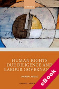 Cover of Human Rights Due Diligence and Labour Governance (eBook)